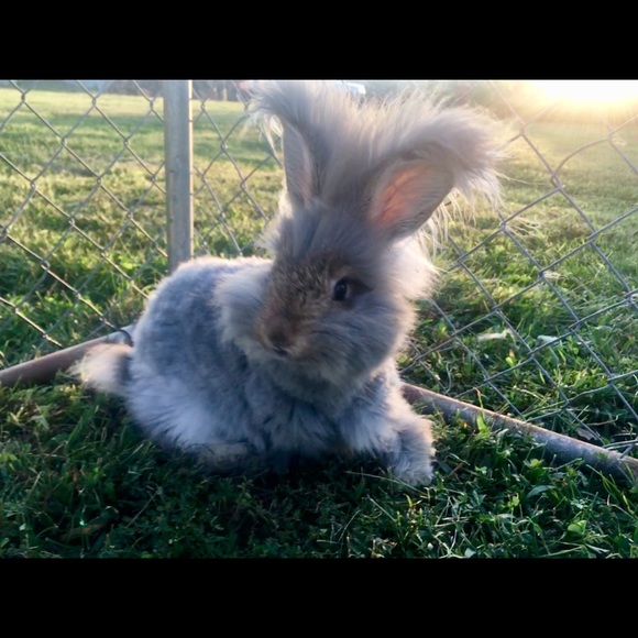 Meet your Posher, Kelly - Picture 3 of 8